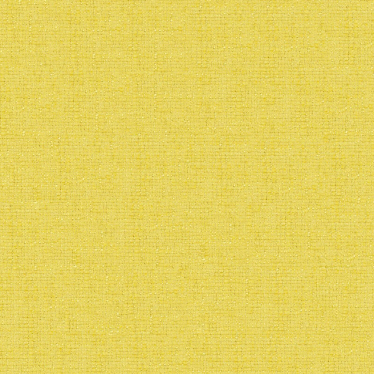 Petal 27