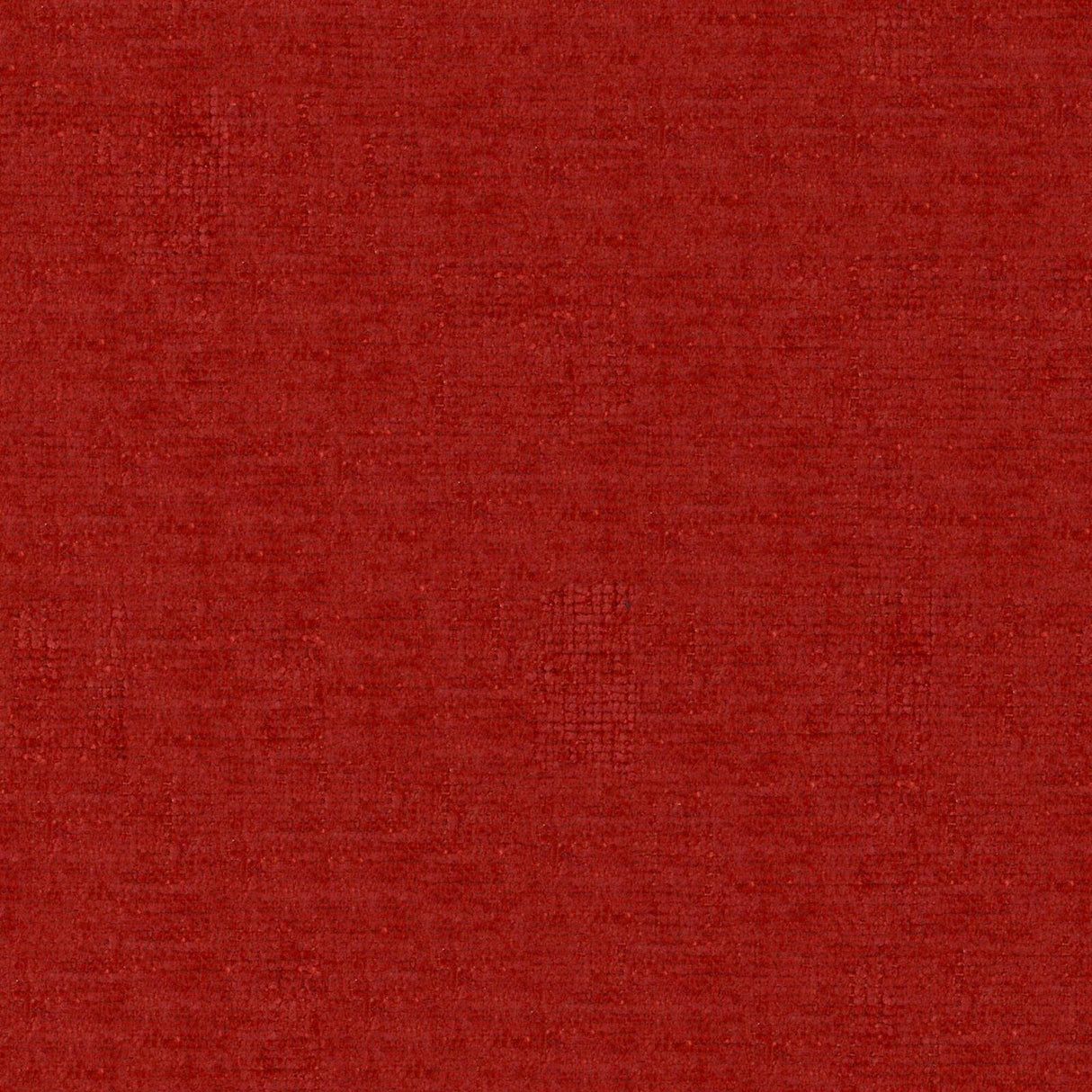 Petal 31