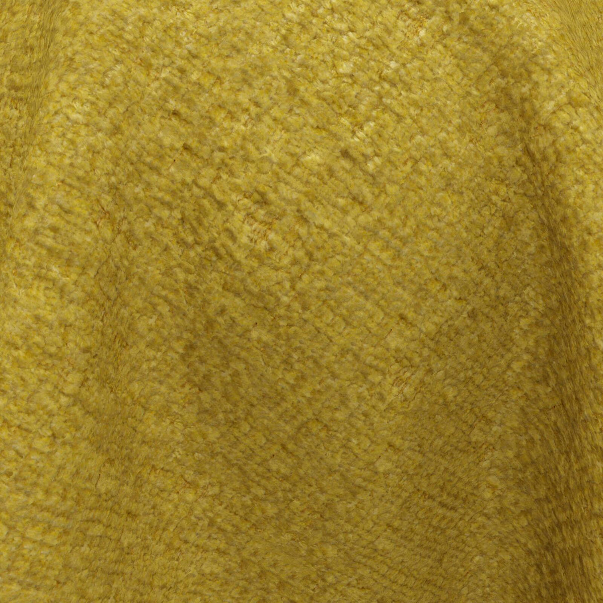 Cheviot 23 Gold
