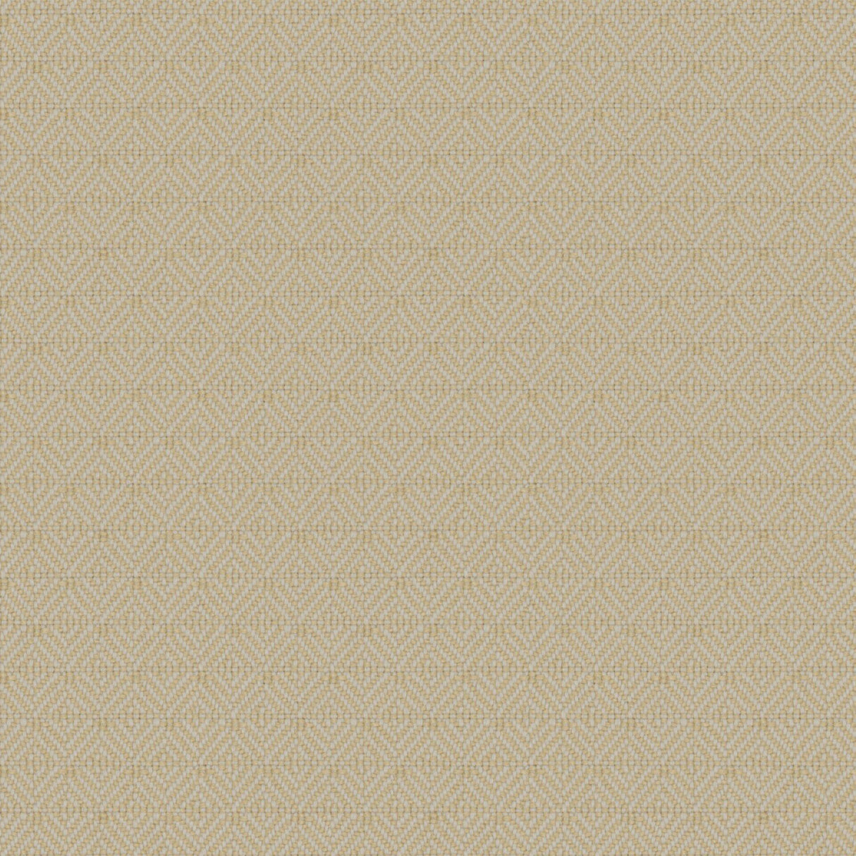 Sheen 01