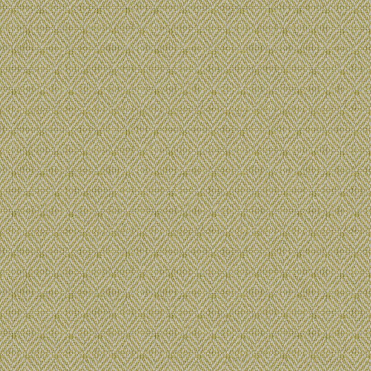 Sheen 07