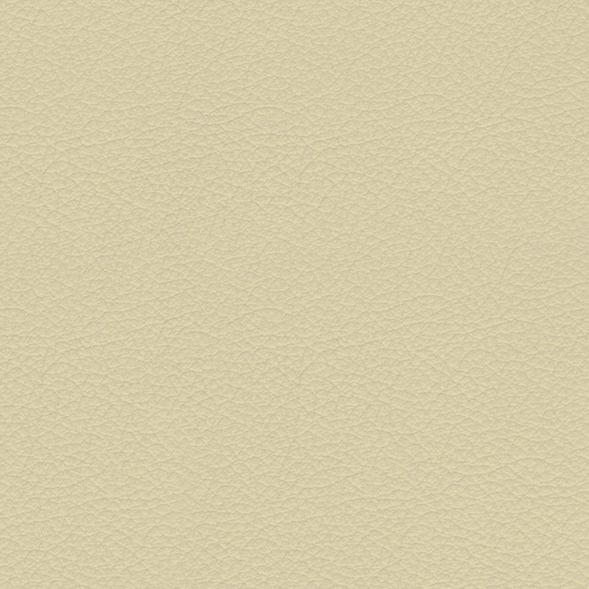 Savoy 404034