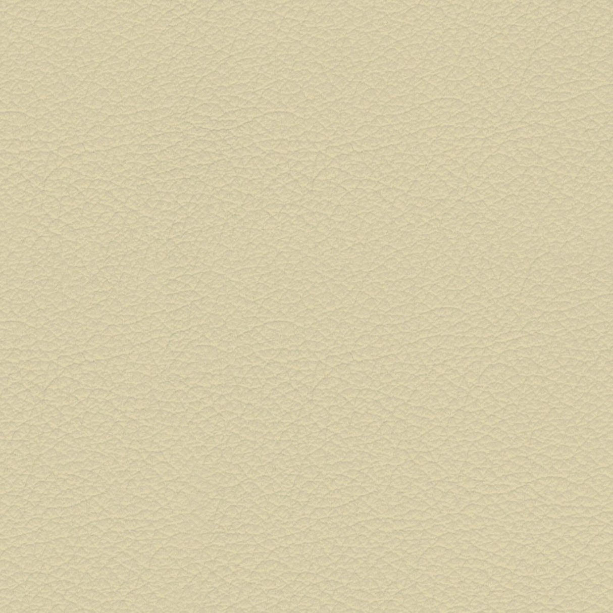 Savoy 404034