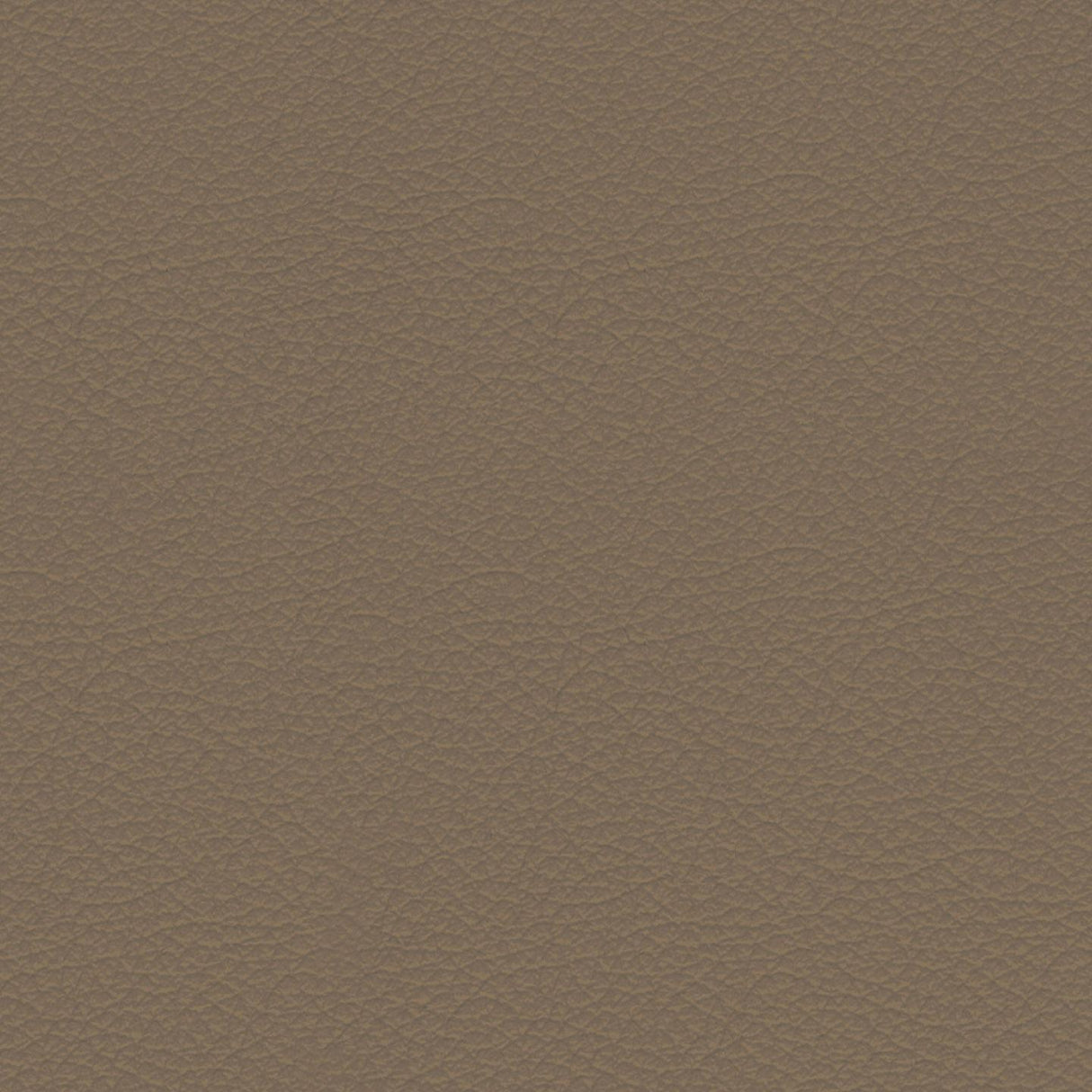 Savoy 407074