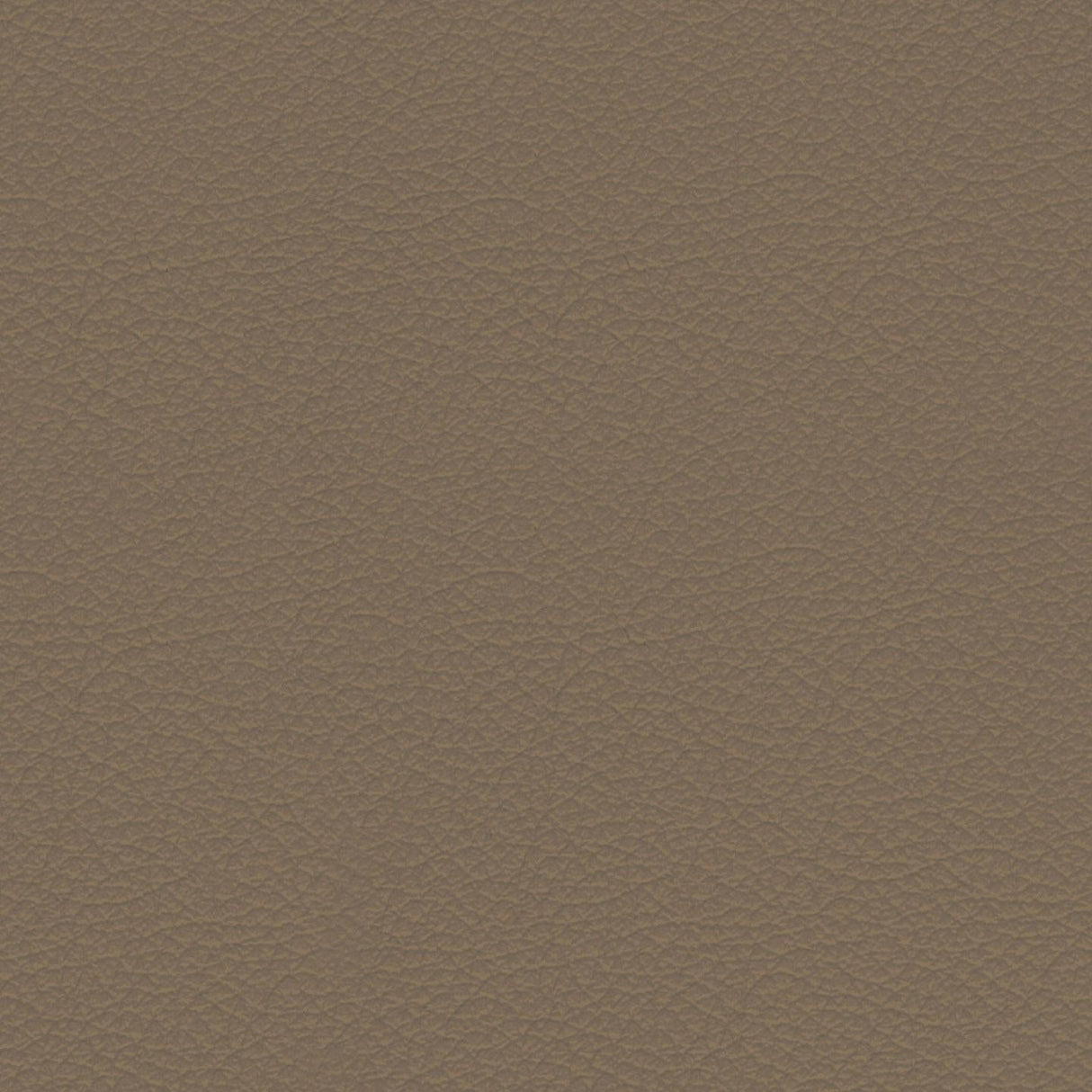 Savoy 407074