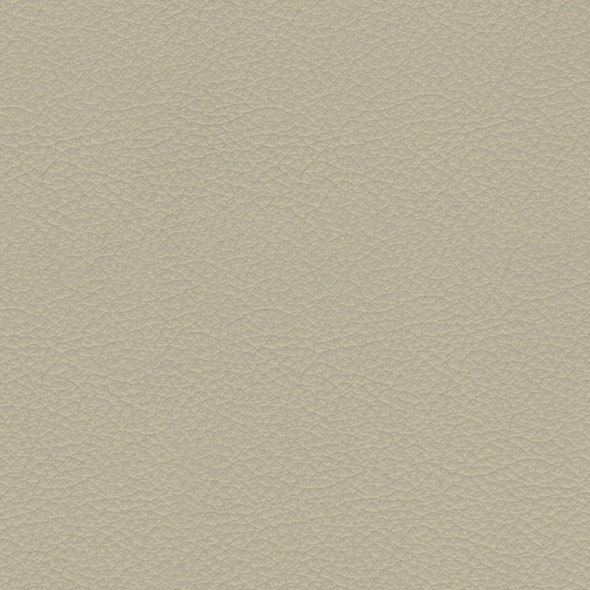 Savoy 408054