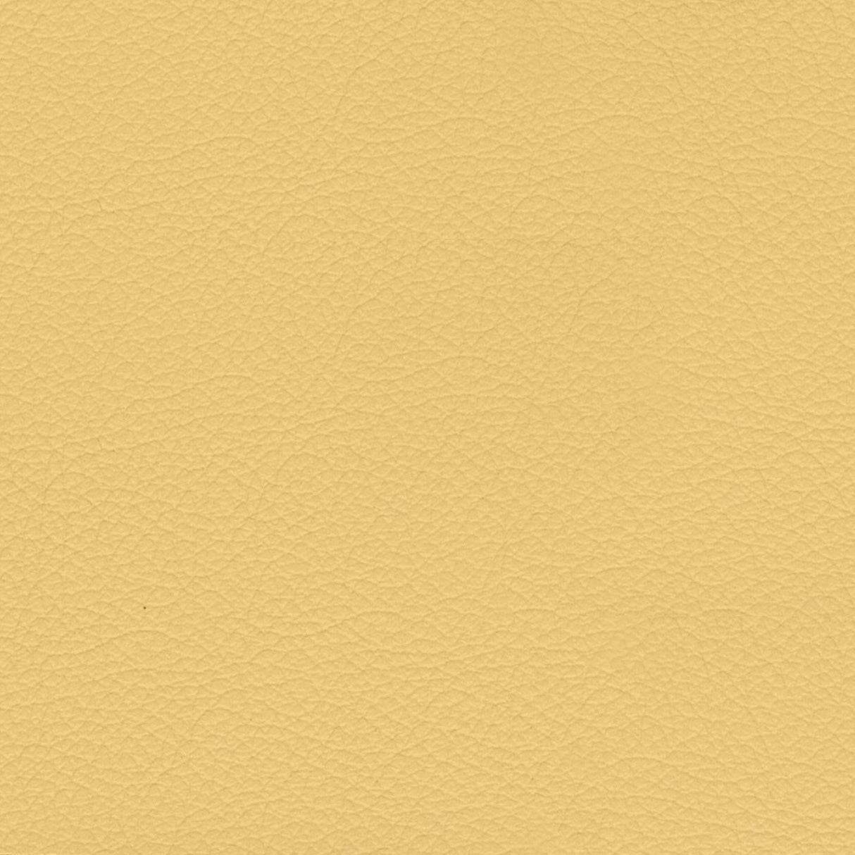 Savoy 409045