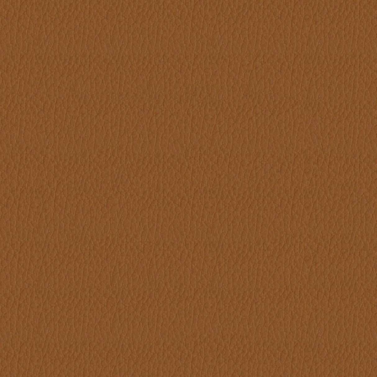 Savoy 410124