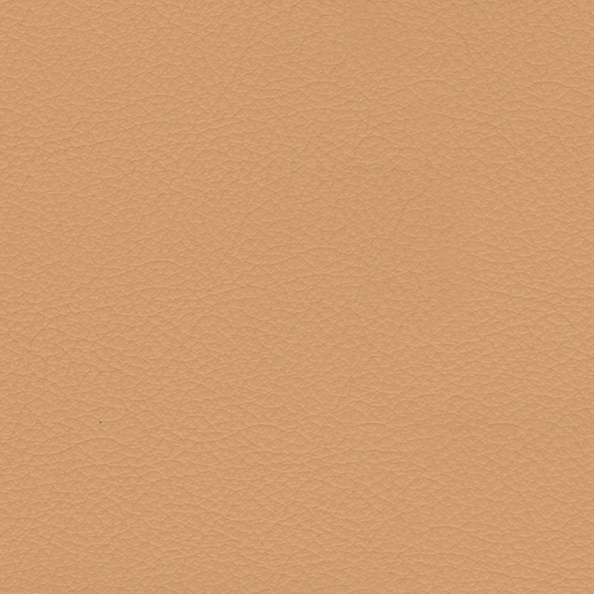 Savoy 411019