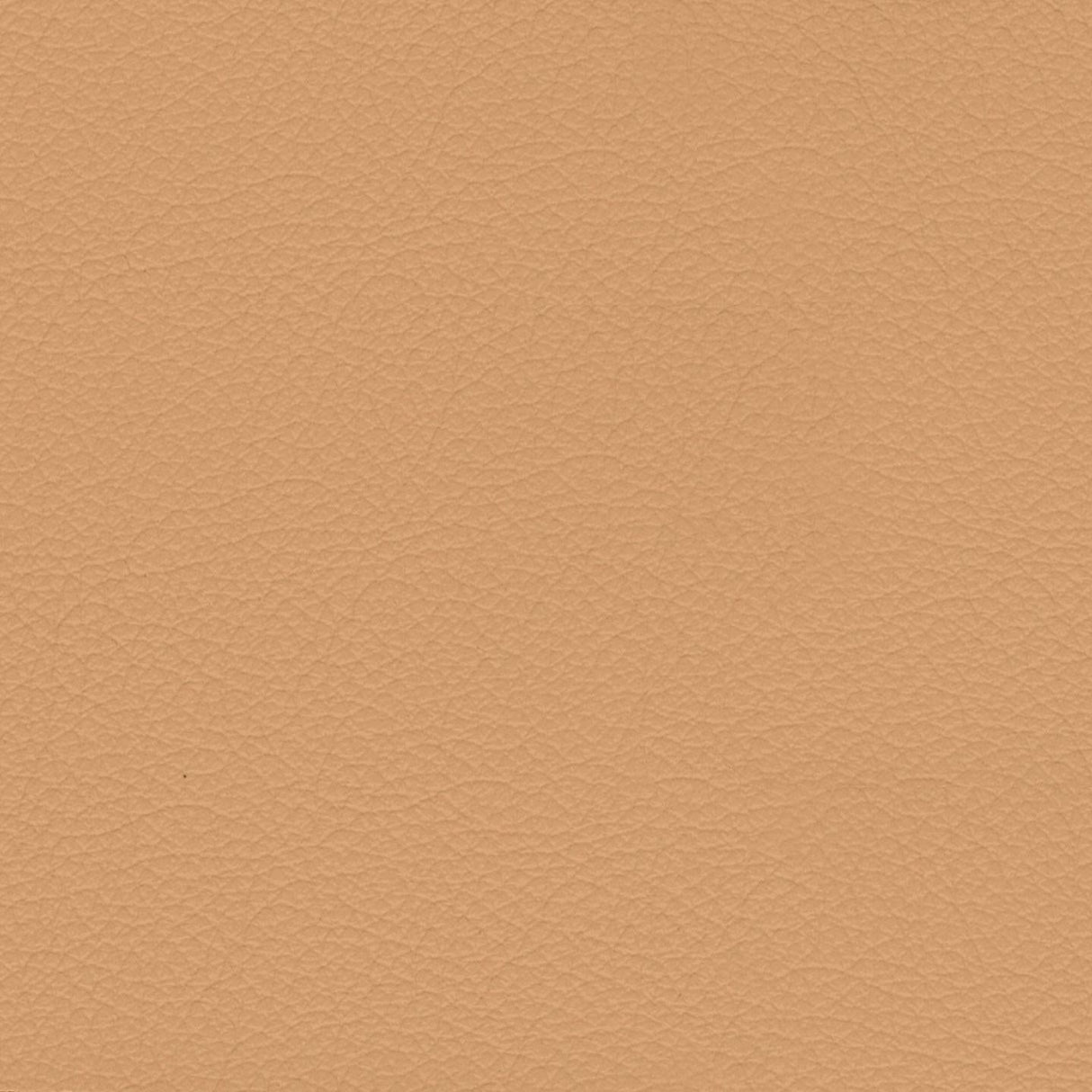 Savoy 411019