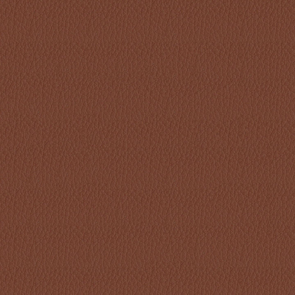 Savoy 413154