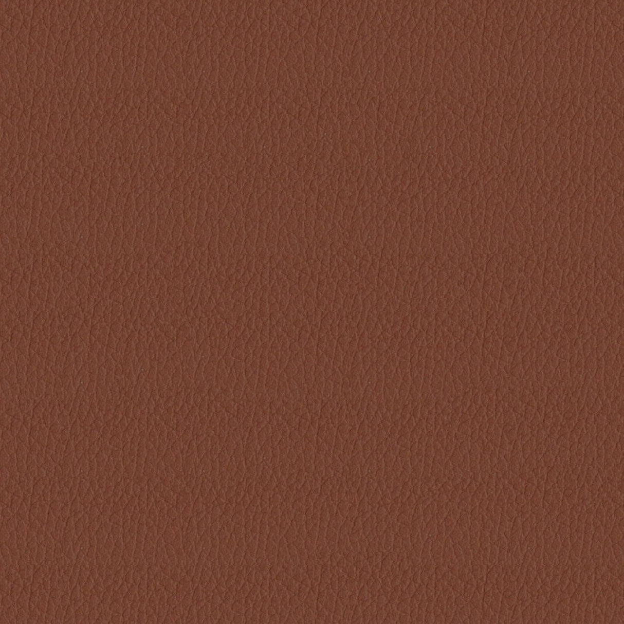 Savoy 413154