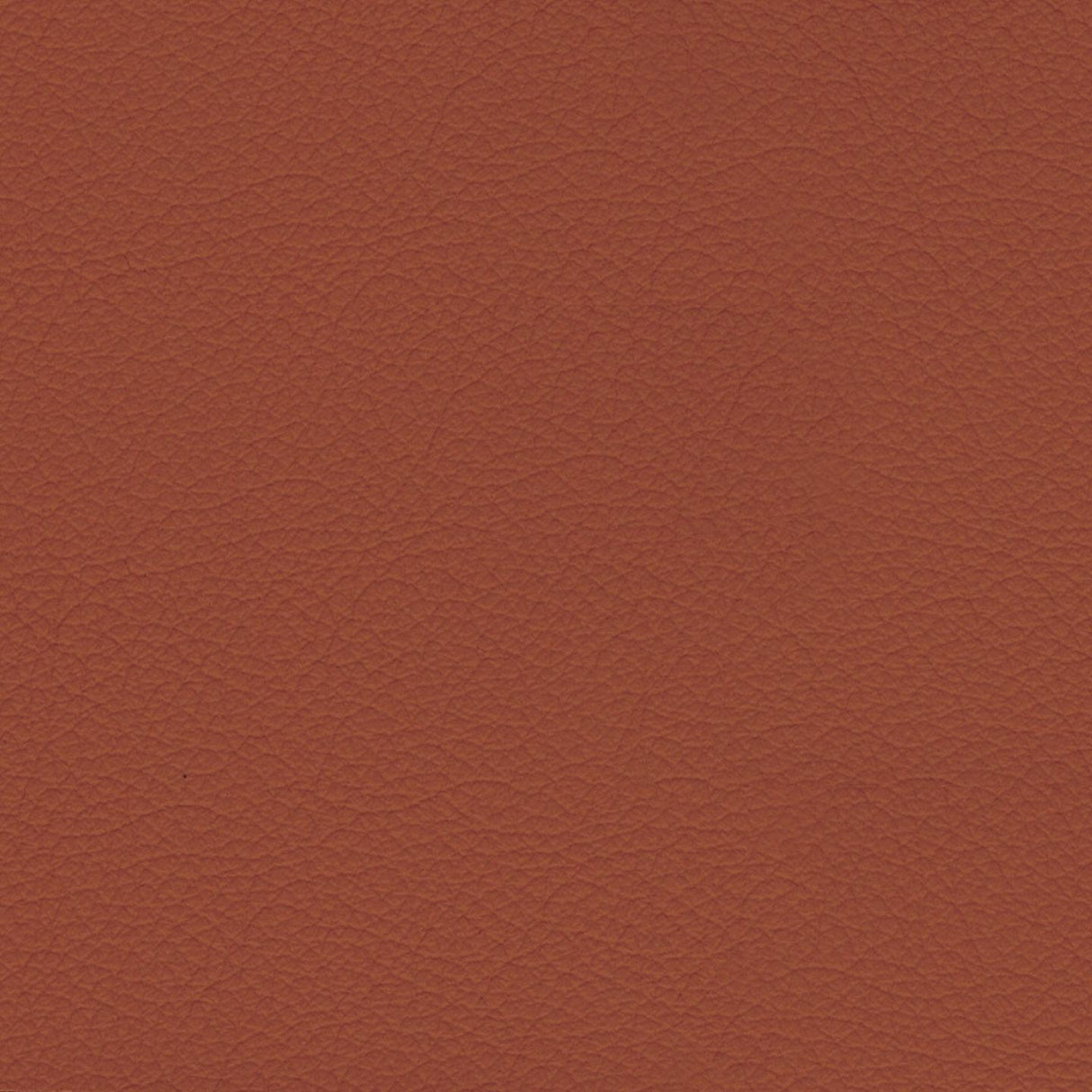Savoy 414049