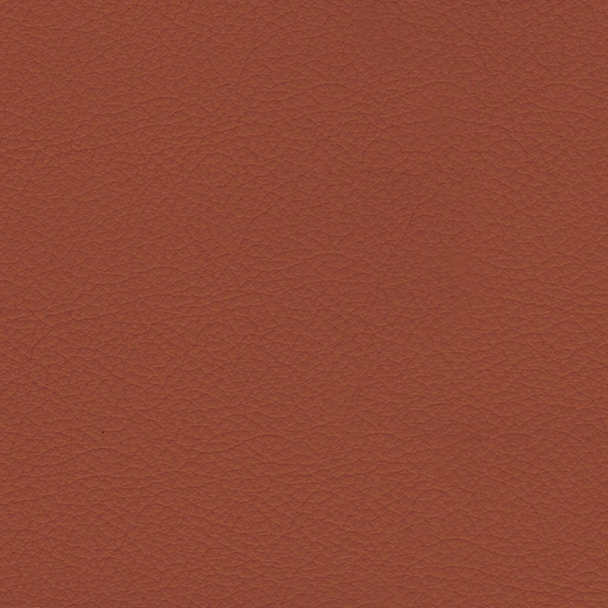 Savoy 414049