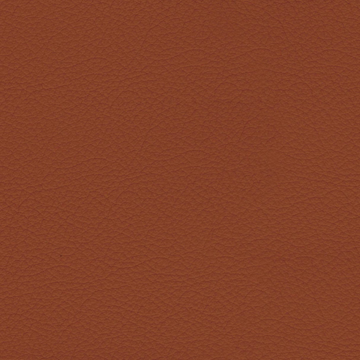 Savoy 415134