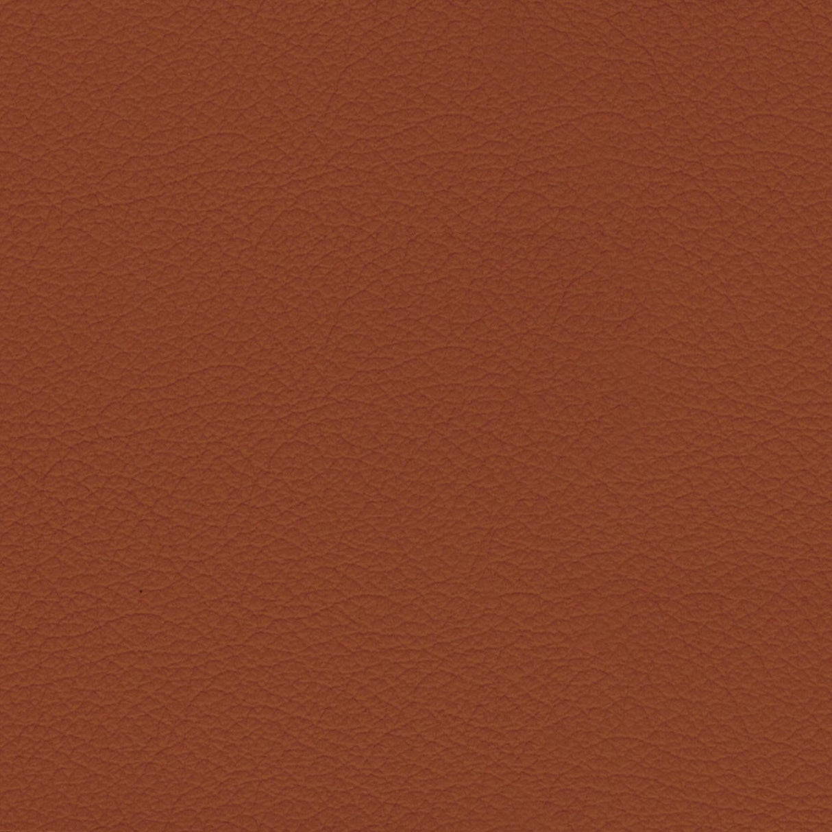 Savoy 415134