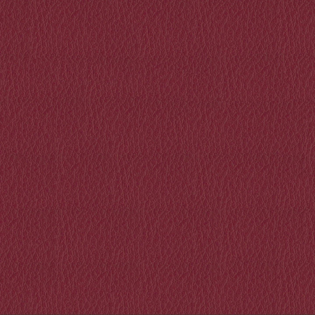 Savoy 416043