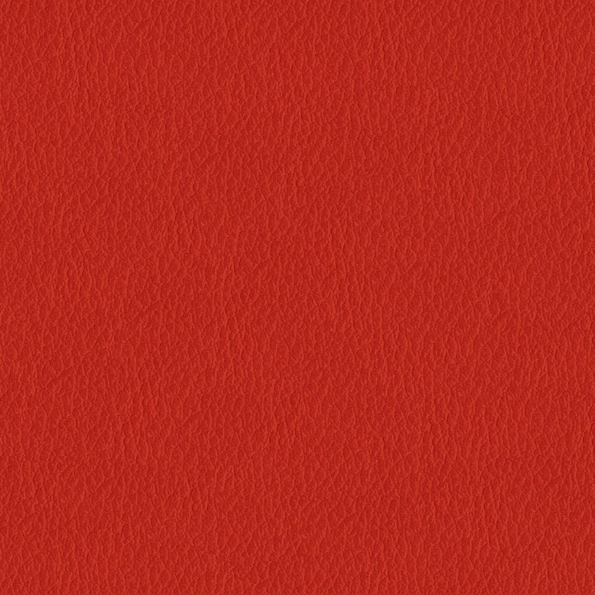 Savoy 417023