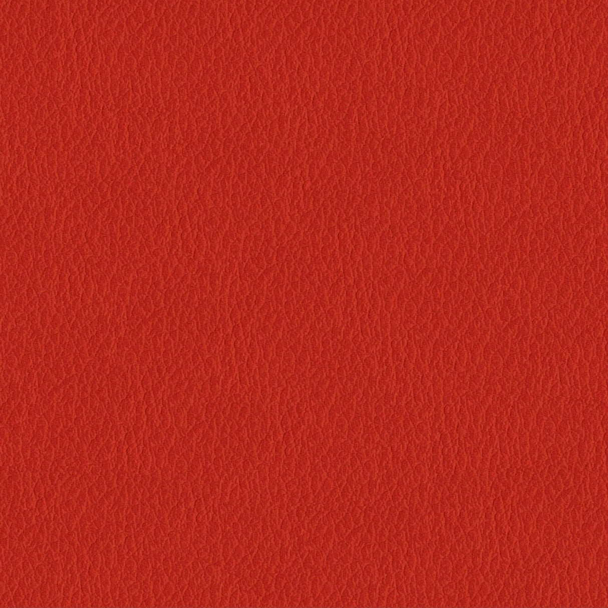 Savoy 417023