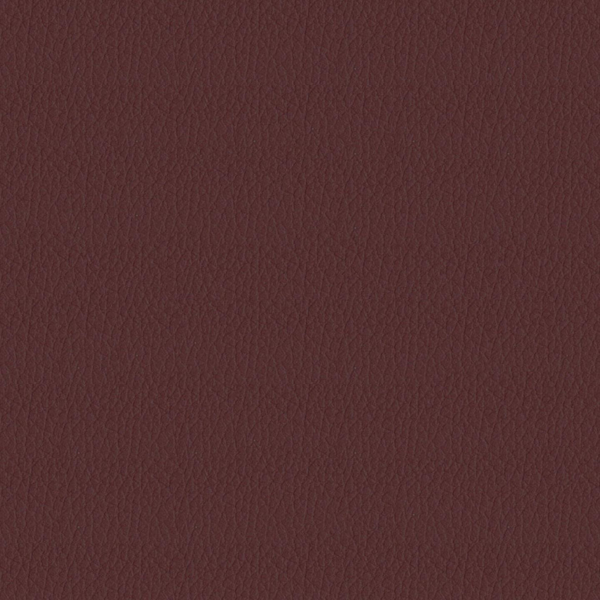Savoy 419053