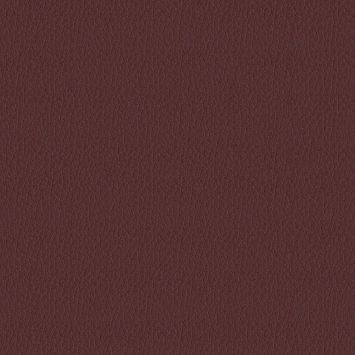 Savoy 419053