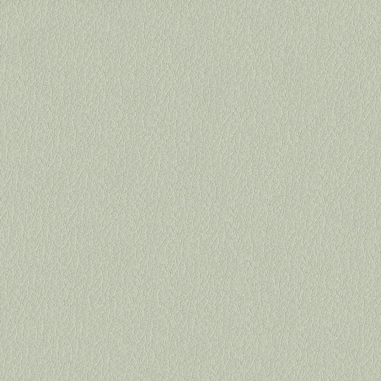 Savoy 422008