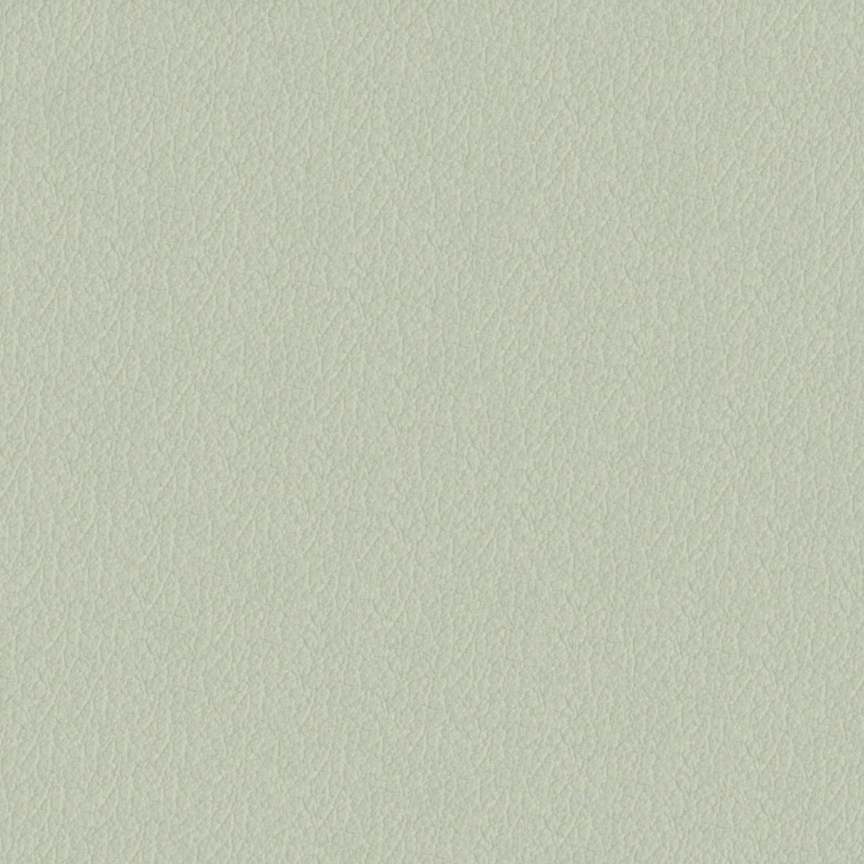 Savoy 422008