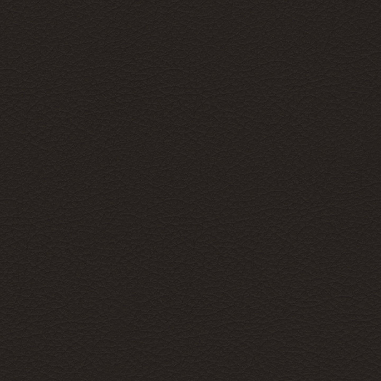 Savoy 423002