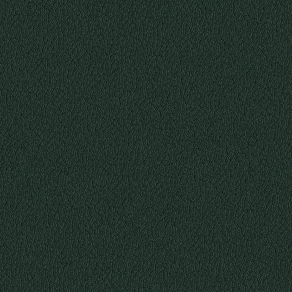 Savoy 425048