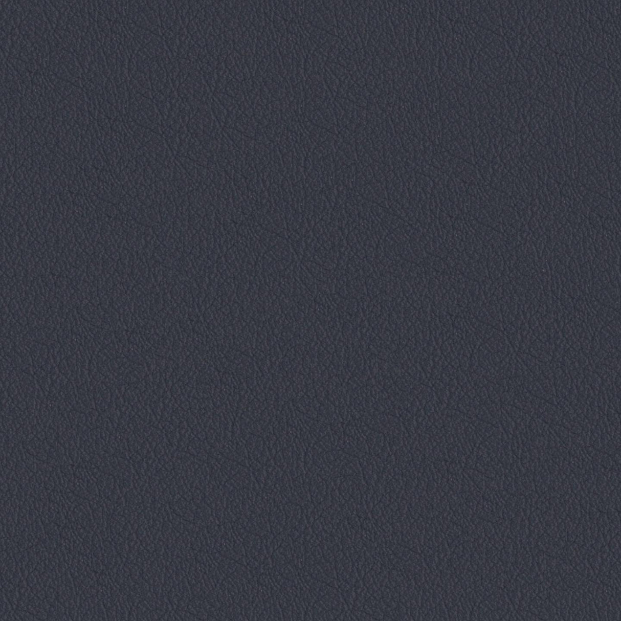 Savoy 426047