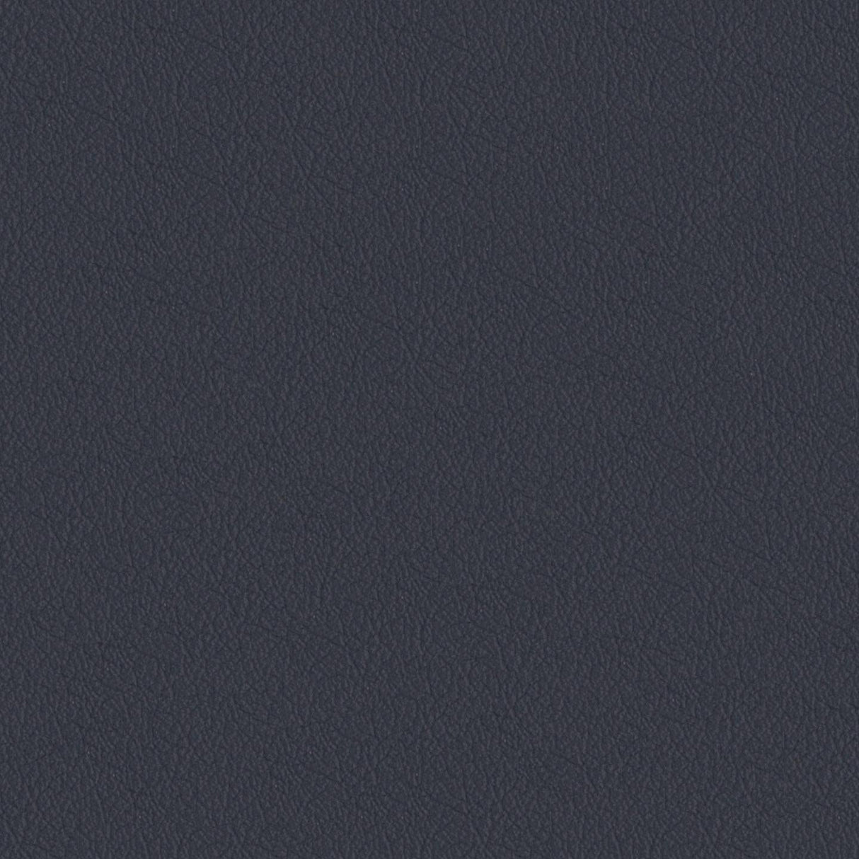 Savoy 426047