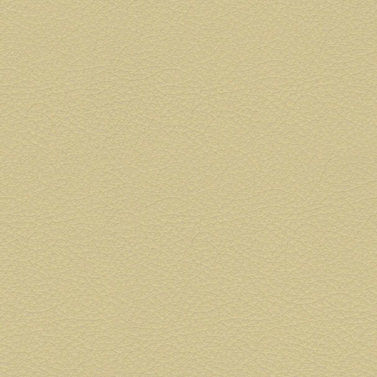 Savoy 428035