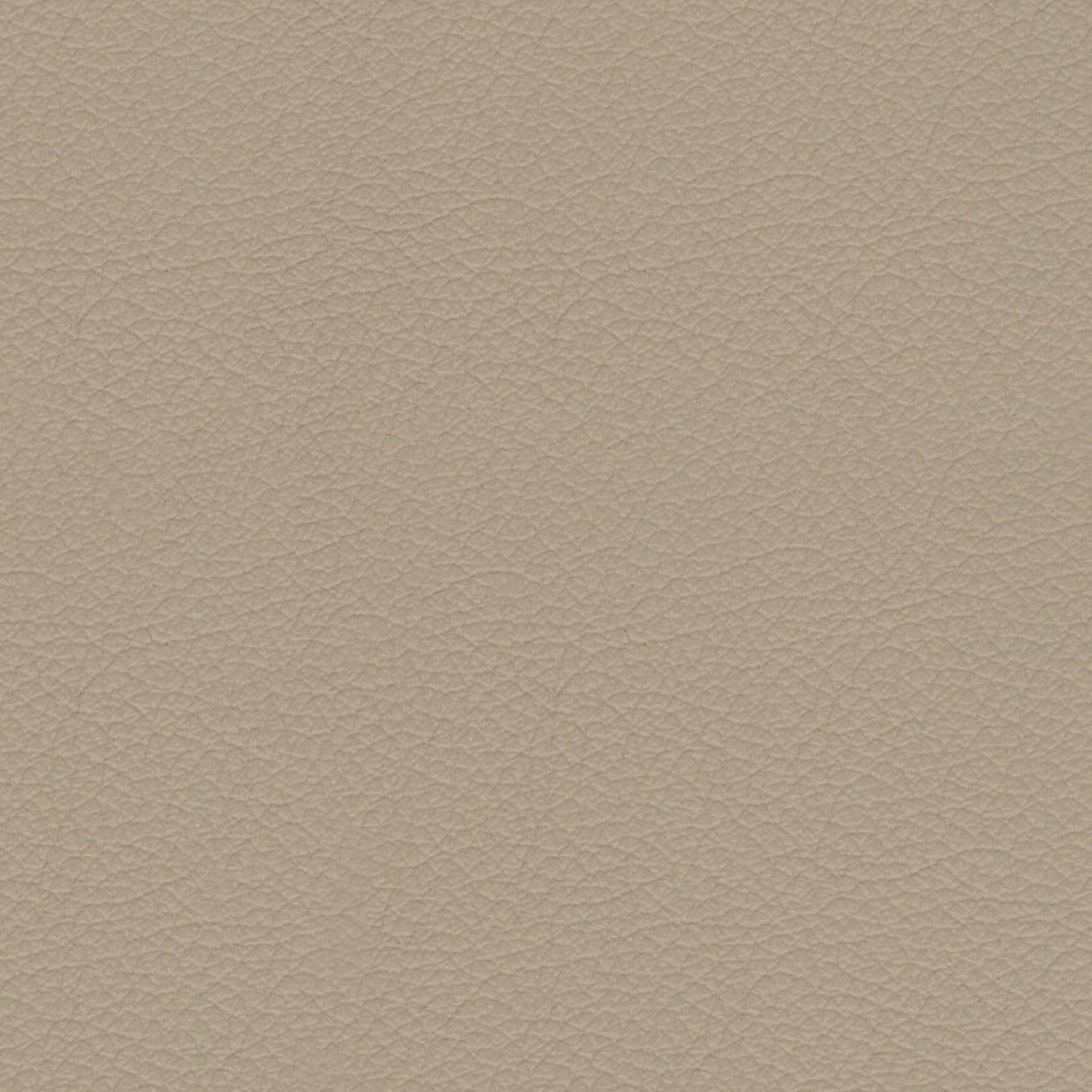 Savoy 429064