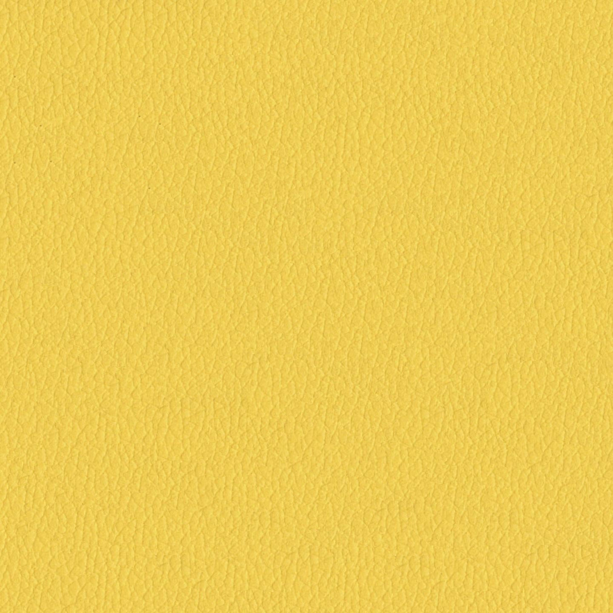 Savoy 430055