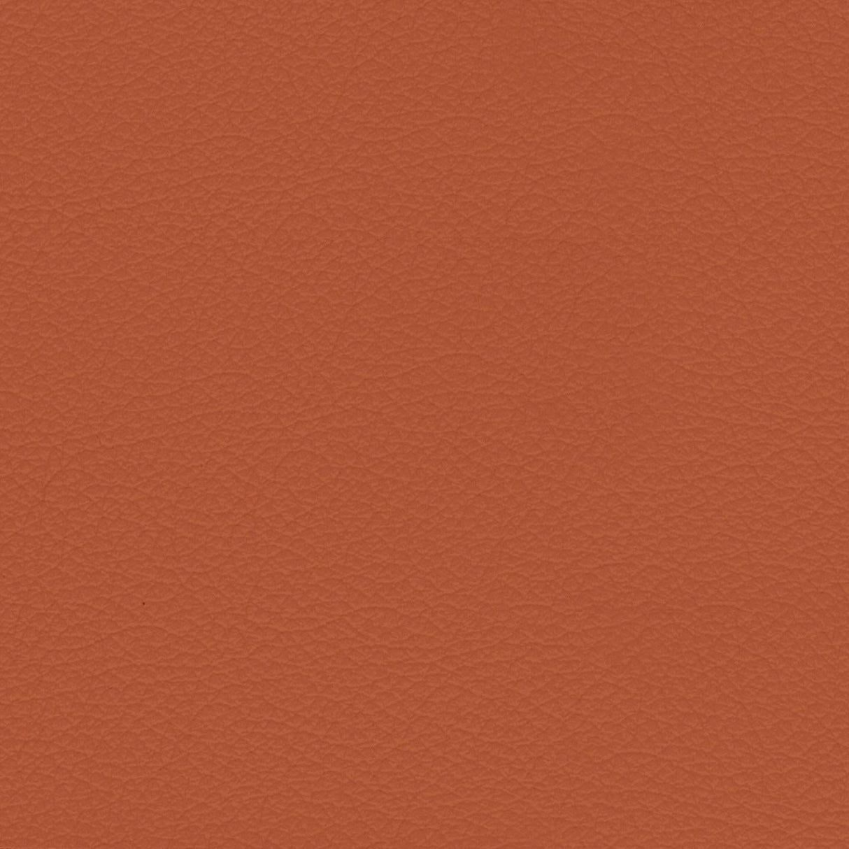 Savoy 433039