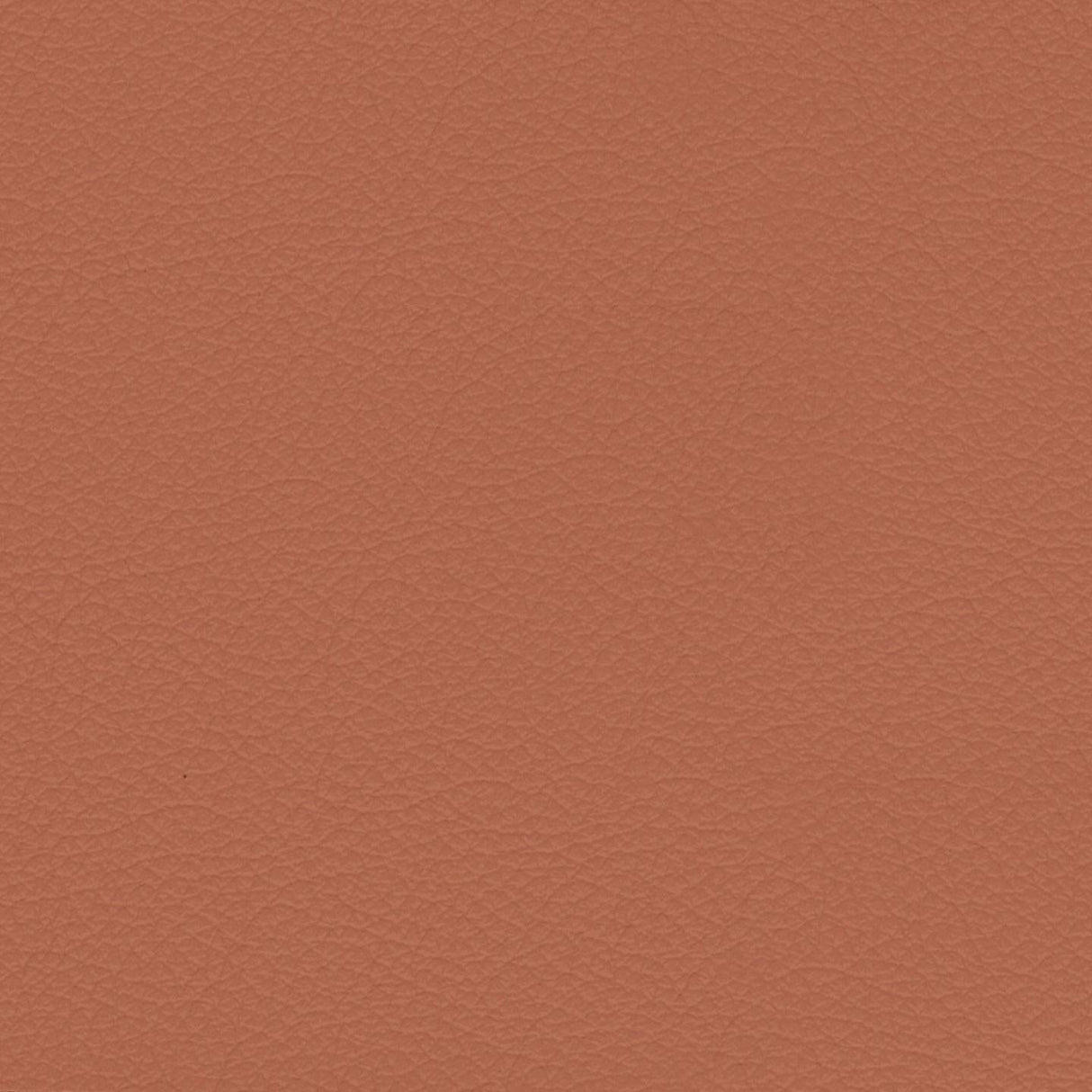 Savoy 434059