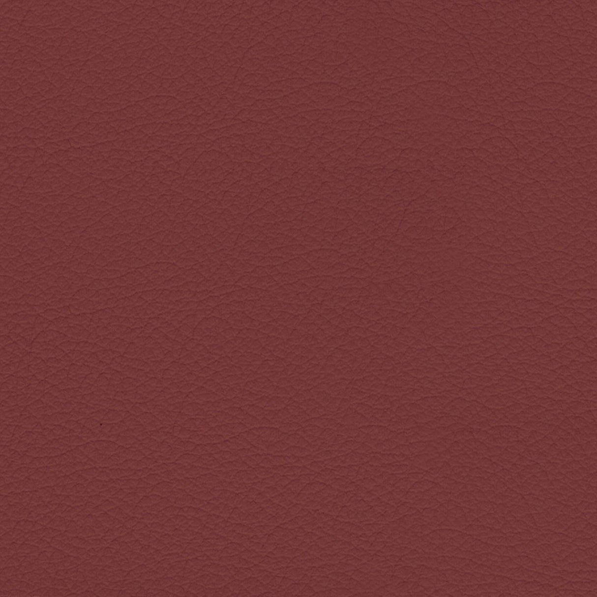Savoy 435144