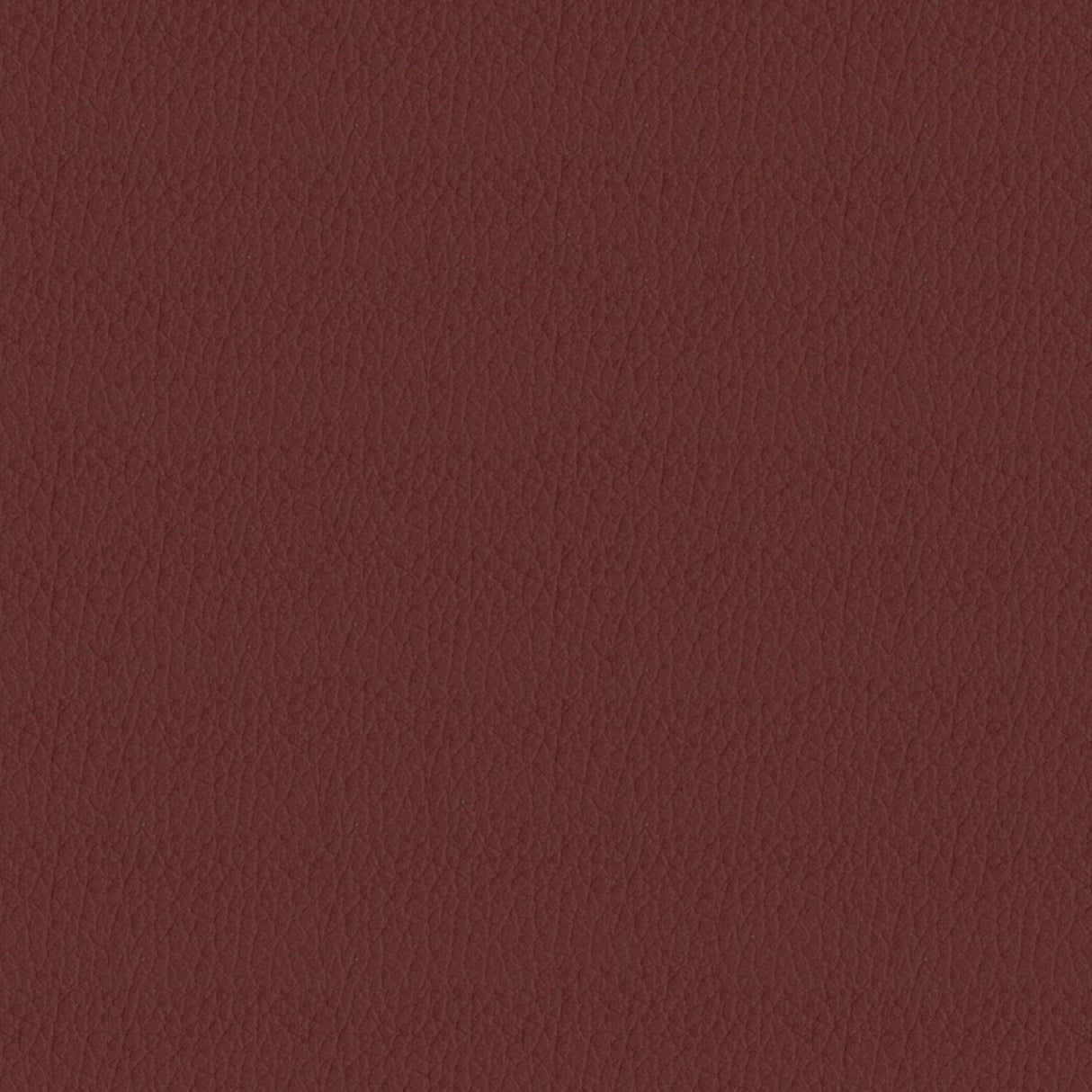 Savoy 436164