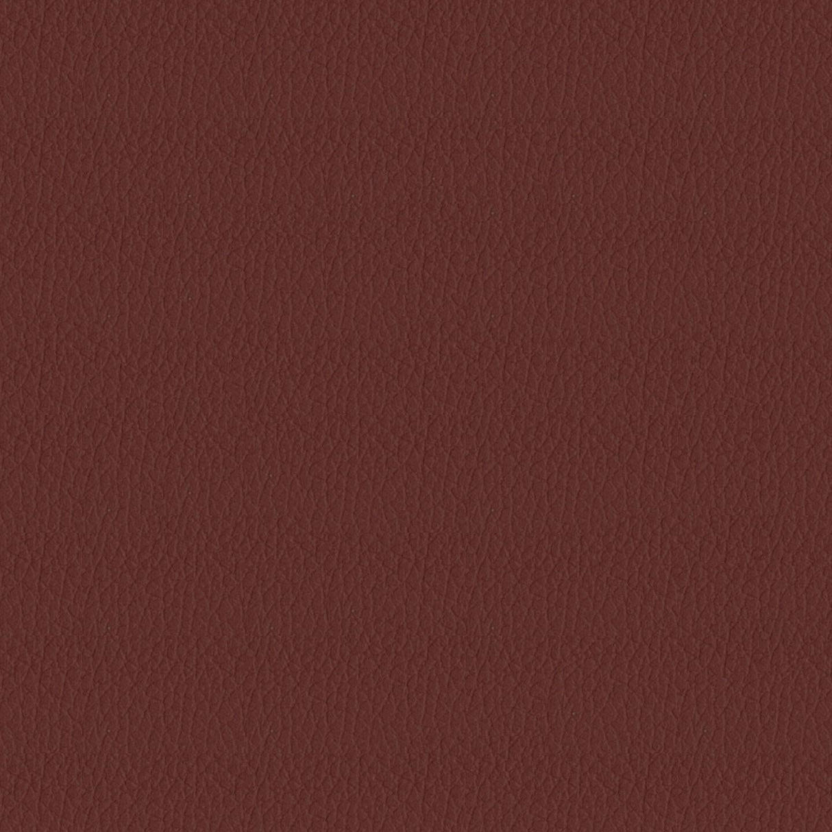 Savoy 436164