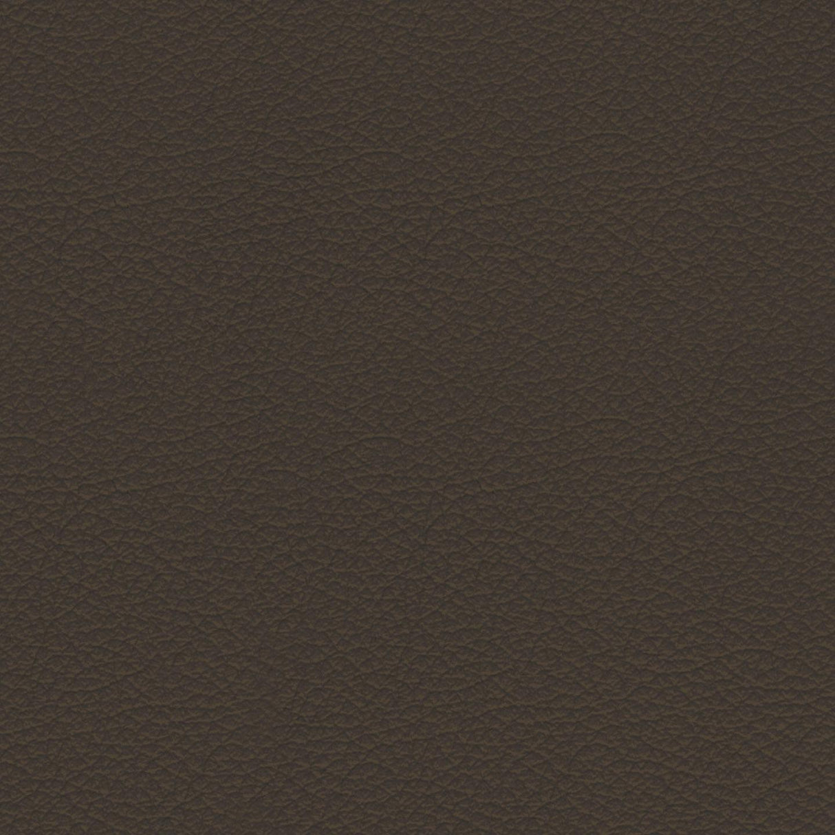 Savoy 437084