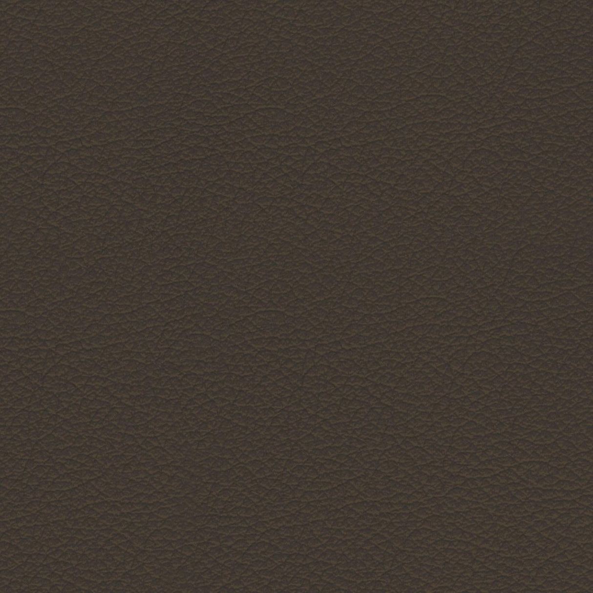 Savoy 437084