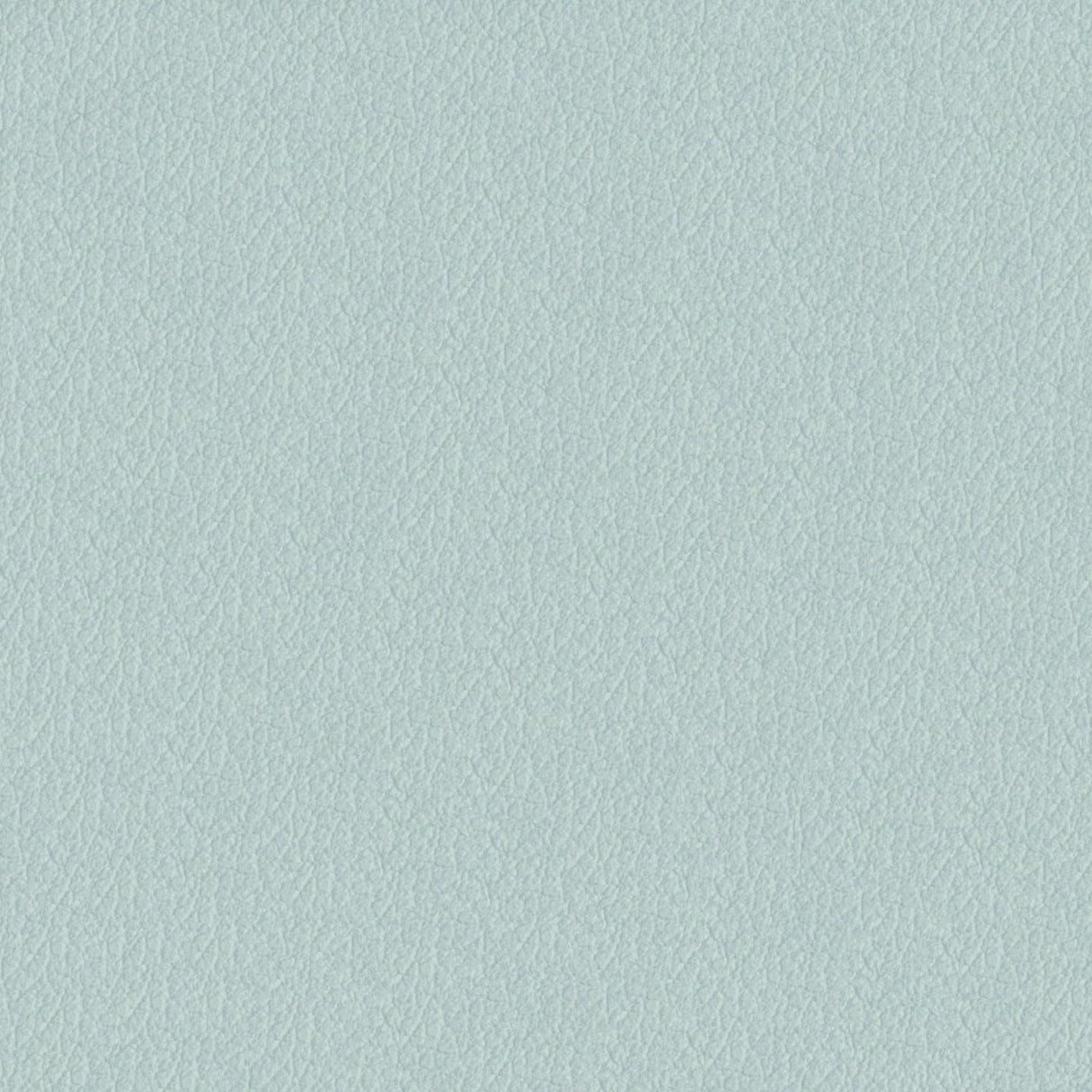Savoy 438007