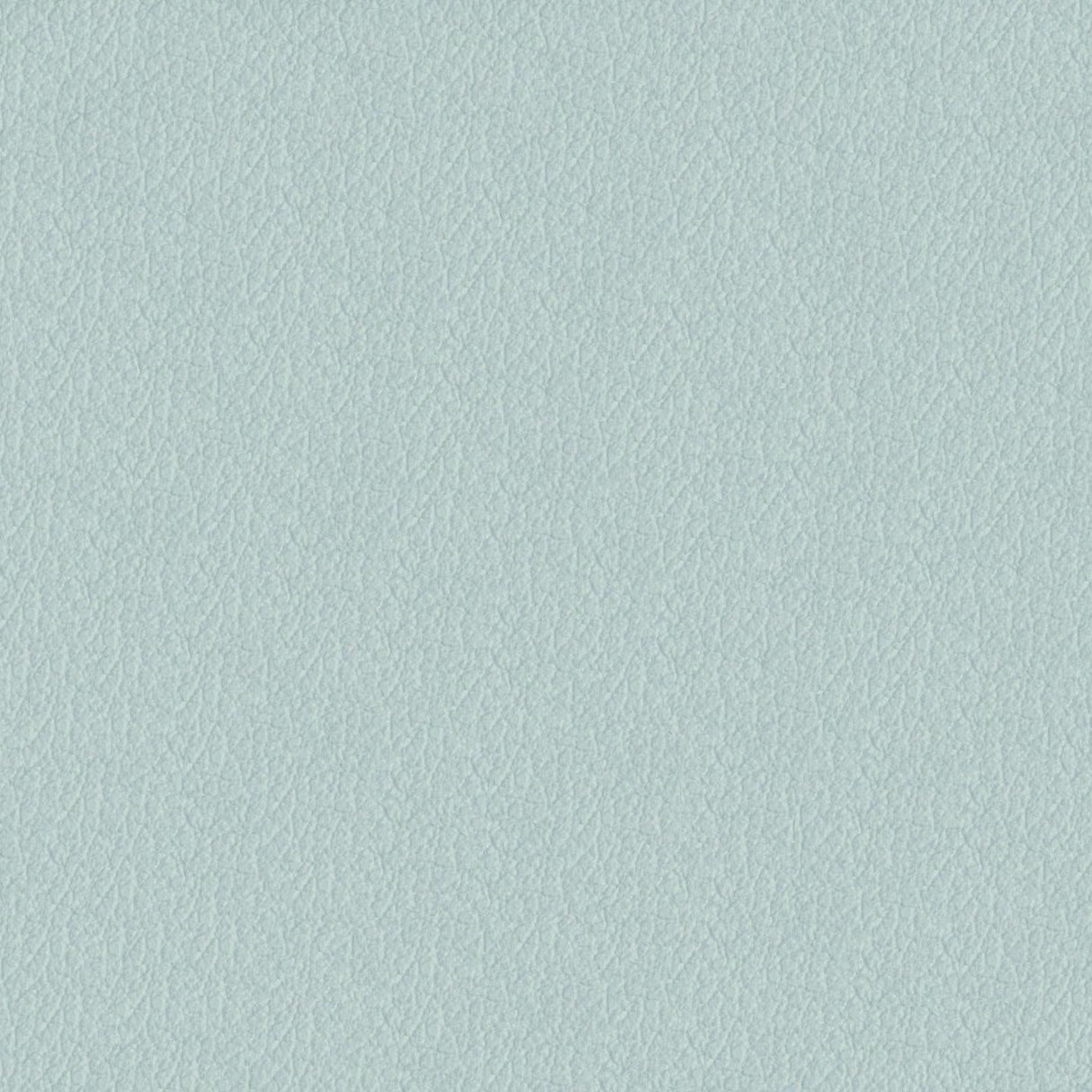 Savoy 438007