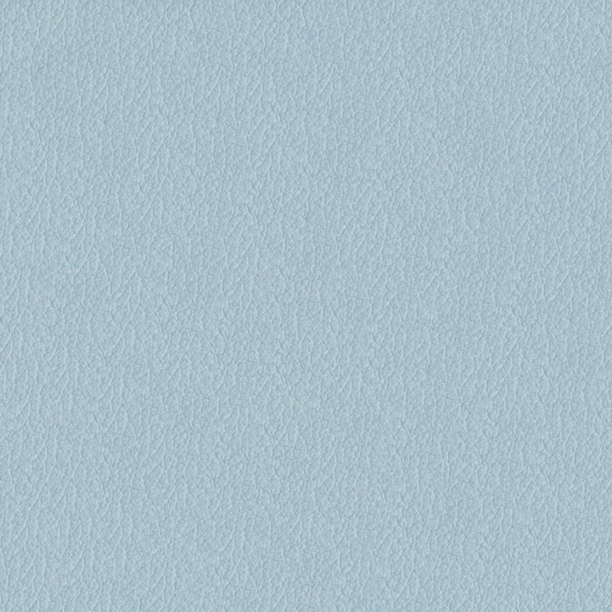 Savoy 439017