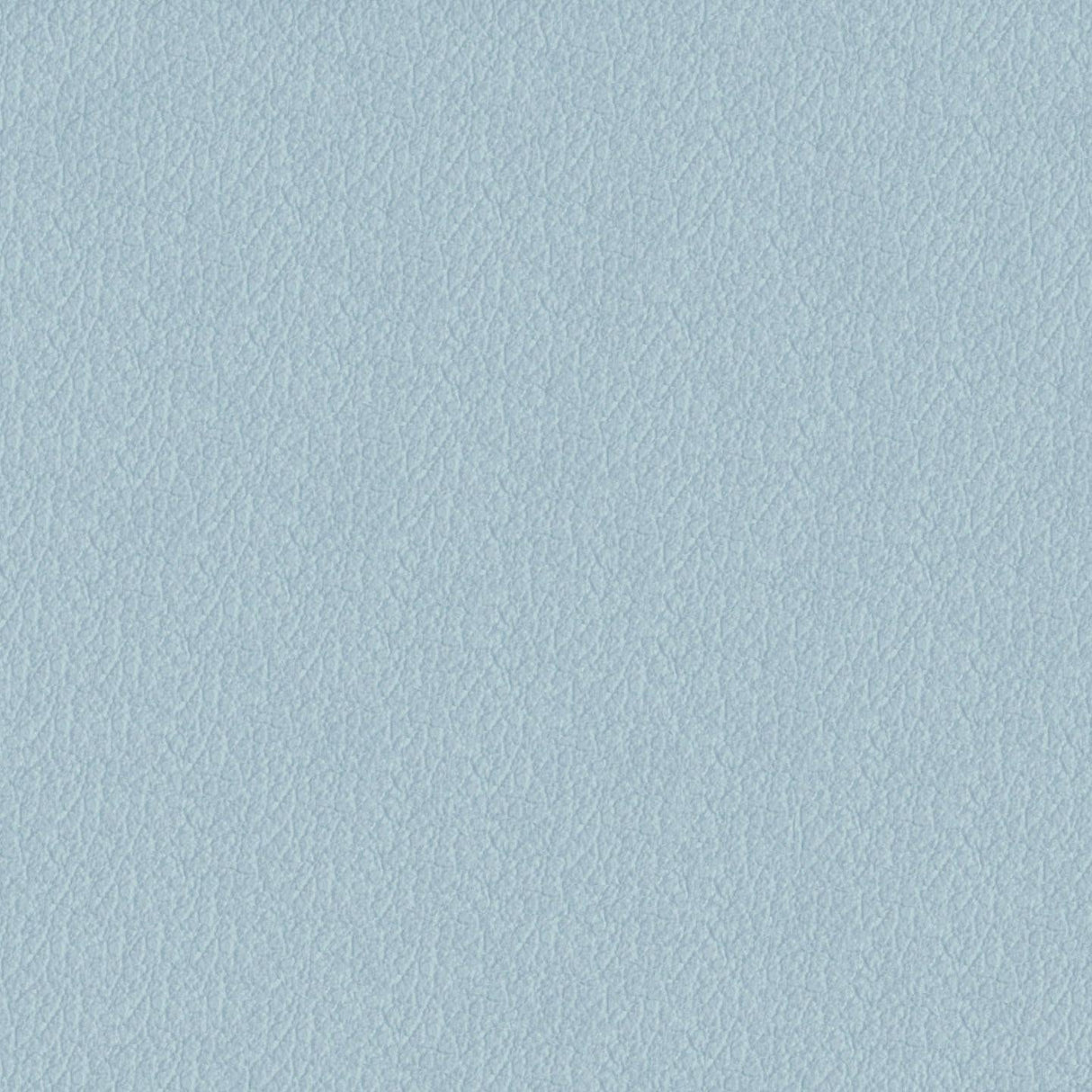 Savoy 439017