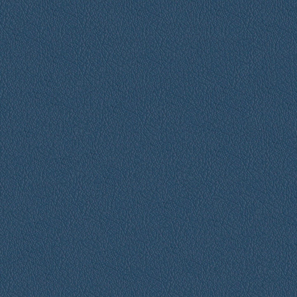 Savoy 440027