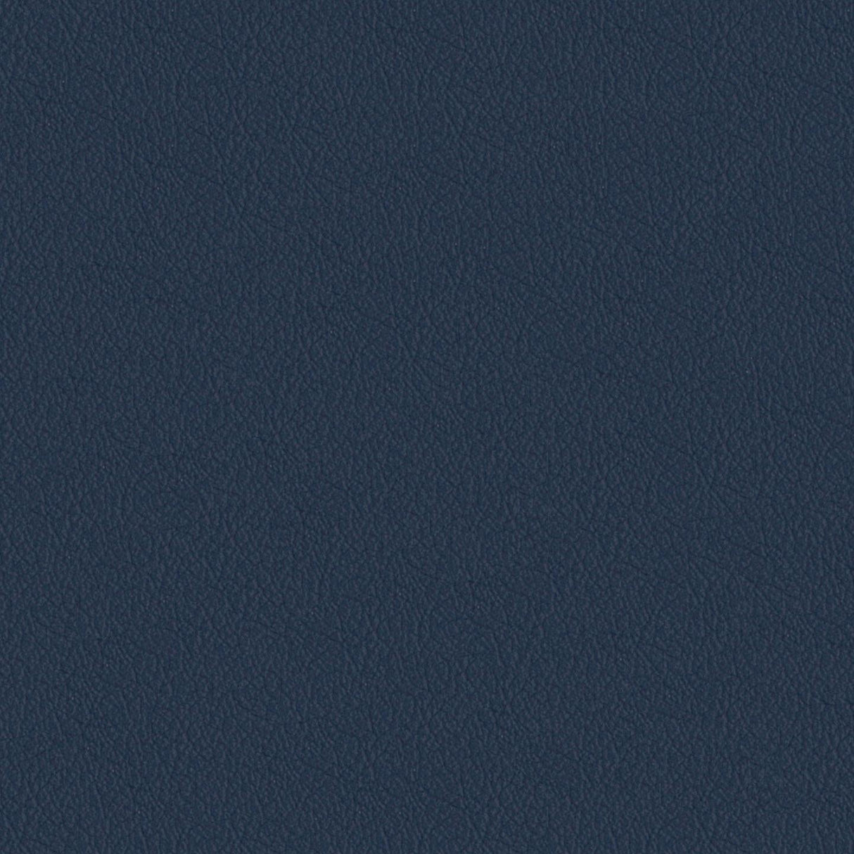 Savoy 441037