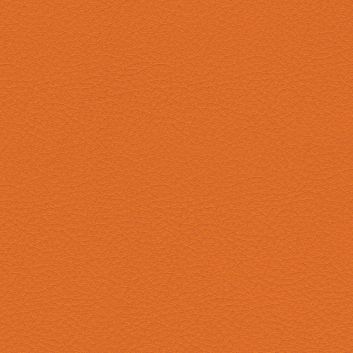 Savoy 442029