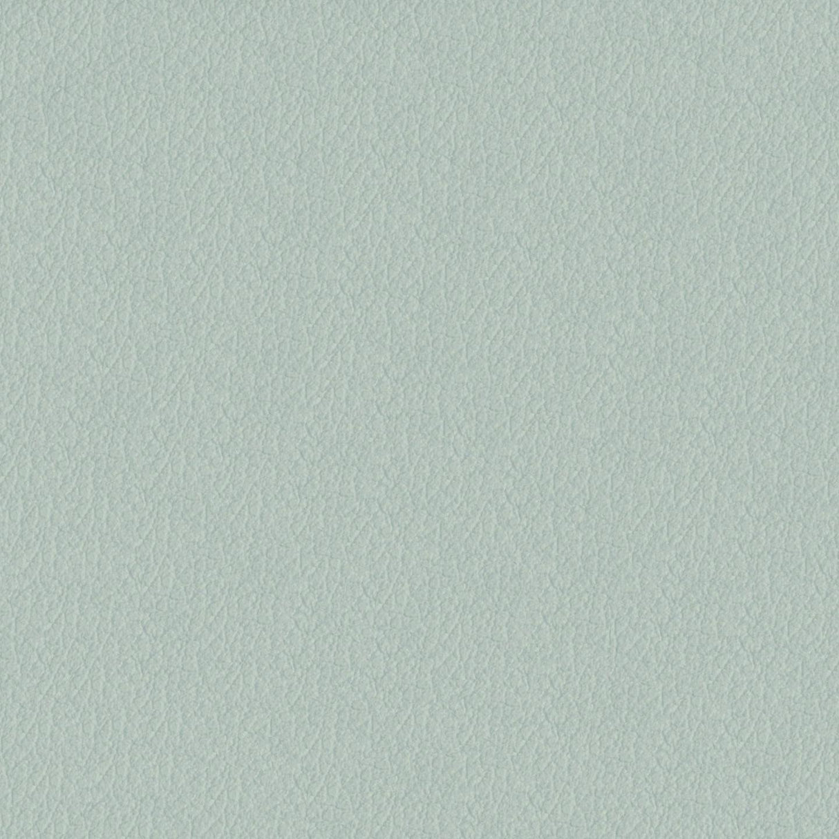 Savoy 443028