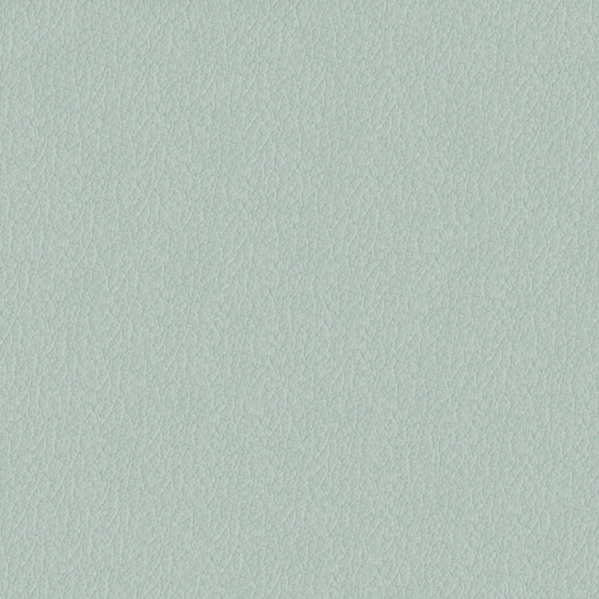 Savoy 443028